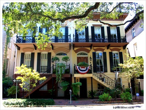 Savannah, une rêverie en images