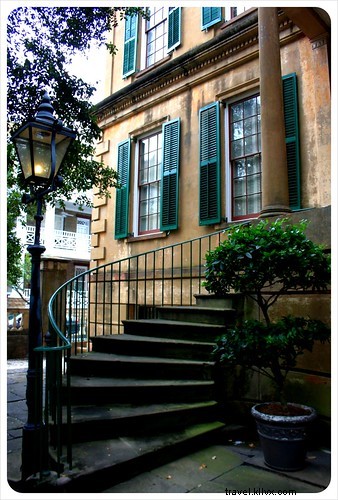 Savannah, une rêverie en images