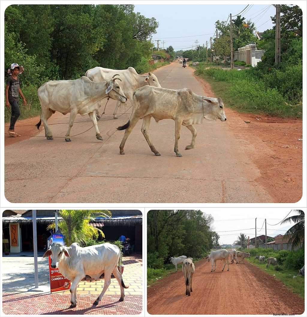 Premières impressions du Cambodge : un avant-goût