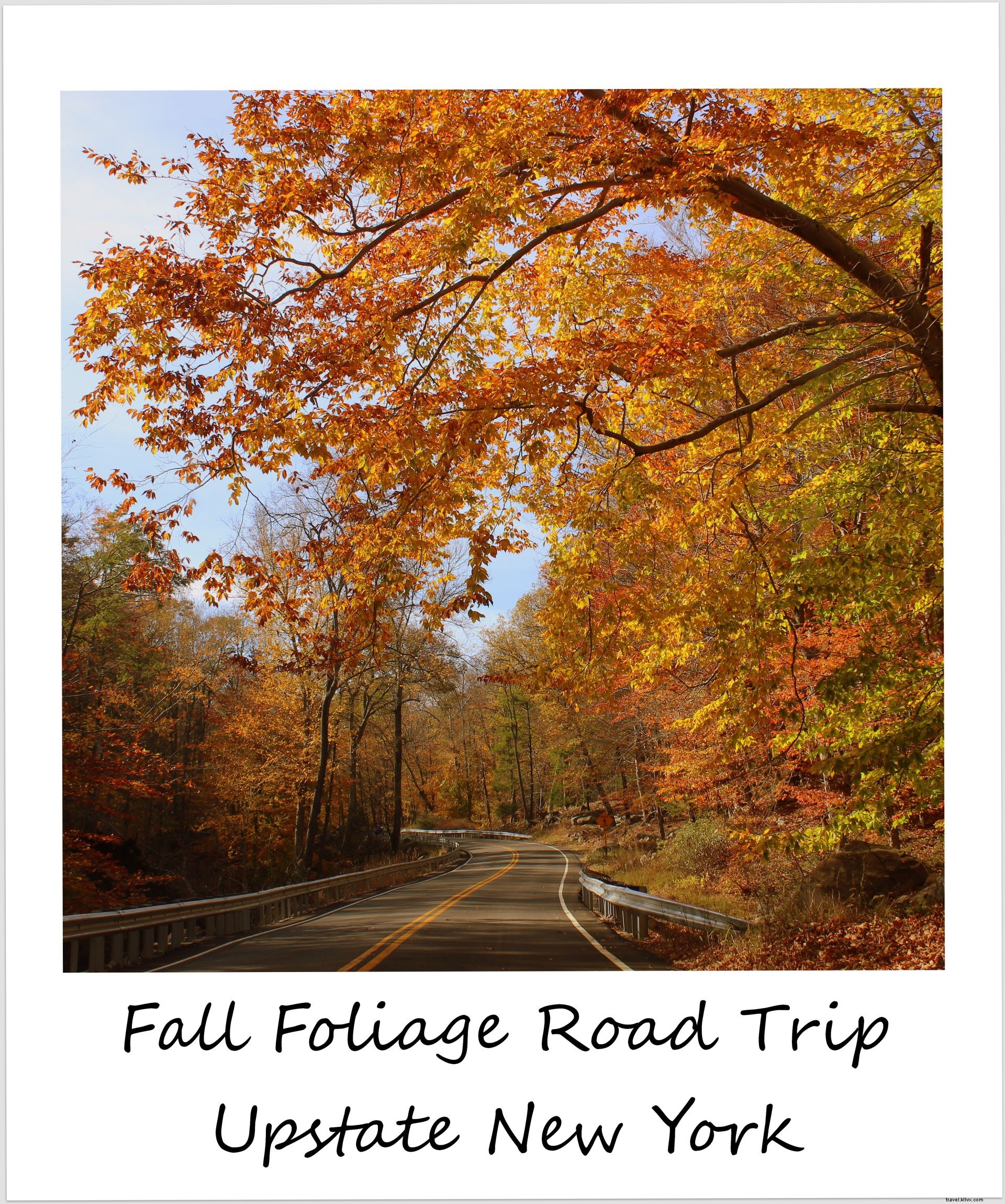 Polaroid de la semaine : un road‑trip d’observation du feuillage dans le nord de l’État de New York