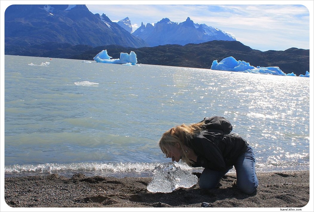 Torres del Paine : découvrez l essence de la Patagonie en une journée