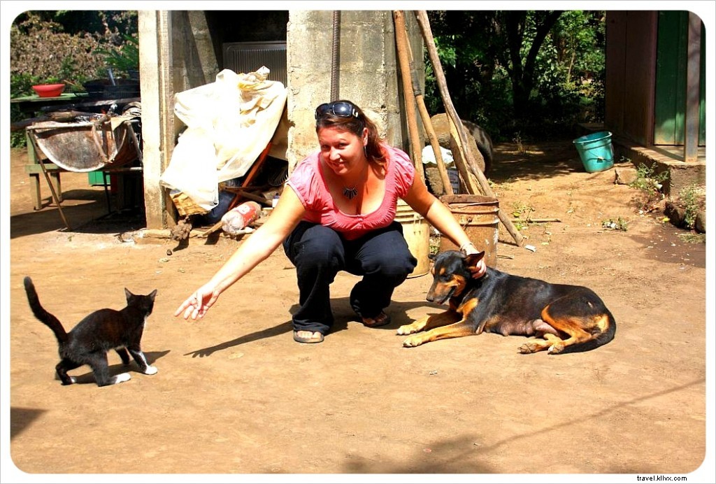 Préparer l Indio Viejo végétarien à León, Nicaragua