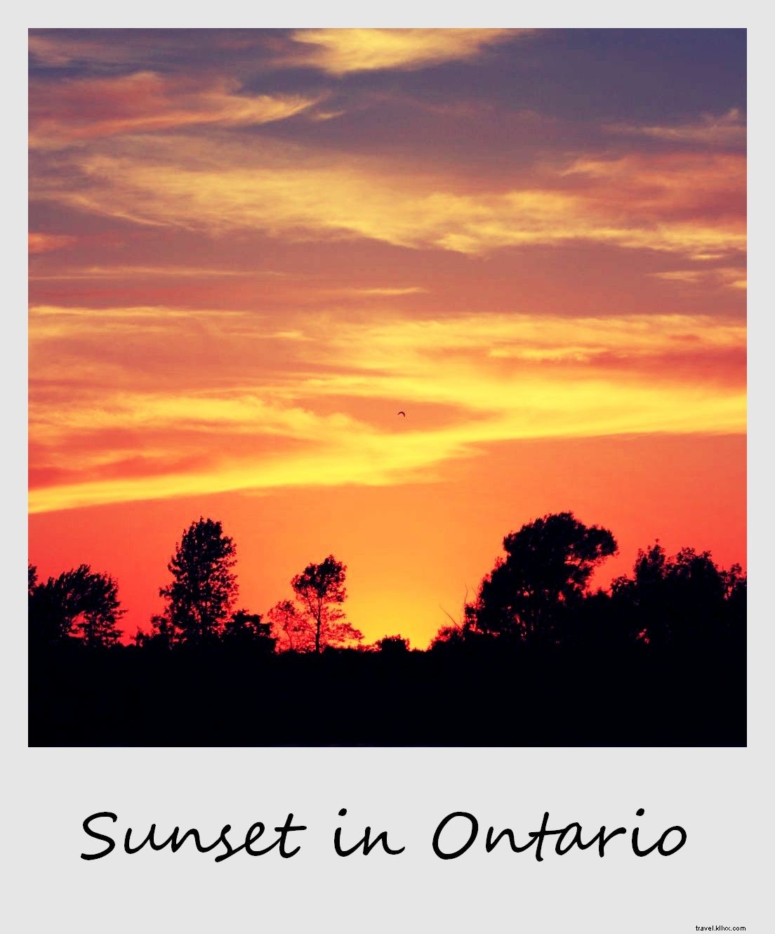 Polaroid de la semaine : Cinéma au coucher du soleil en Ontario