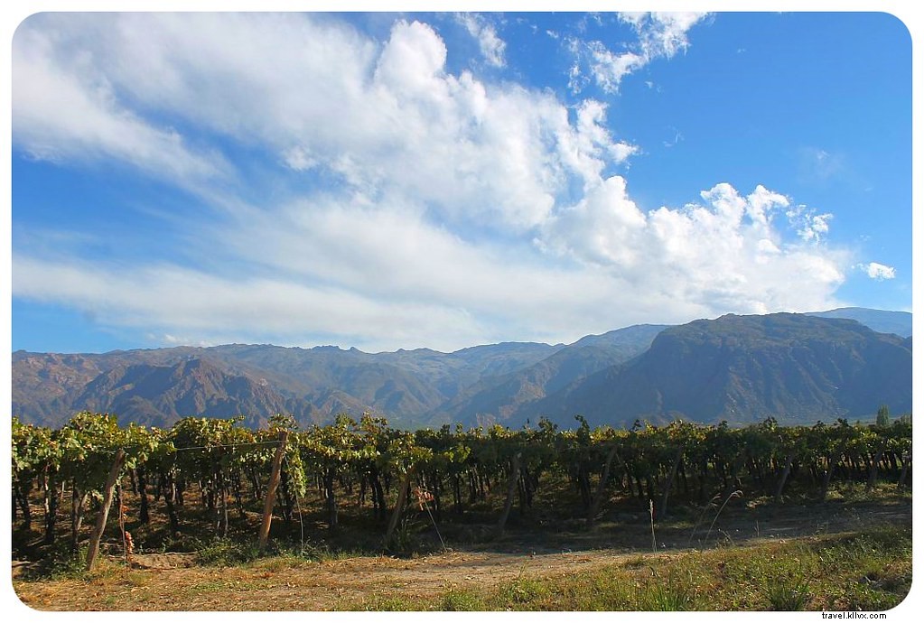 Cafayate : la ville la plus sous‑estimée d’Argentine ?