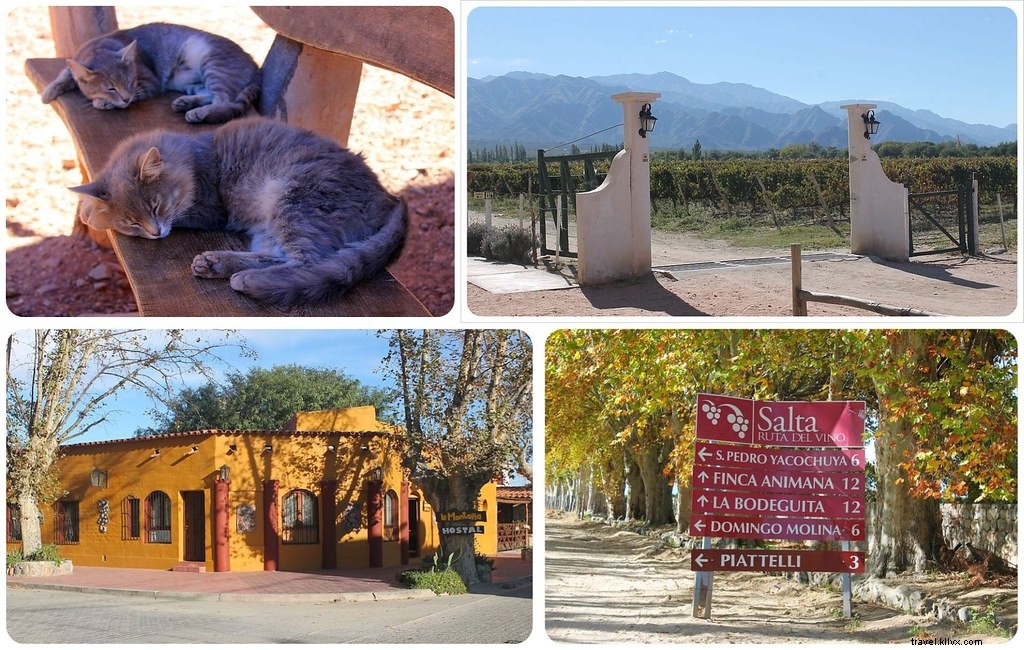 Cafayate : la ville la plus sous‑estimée d’Argentine ?