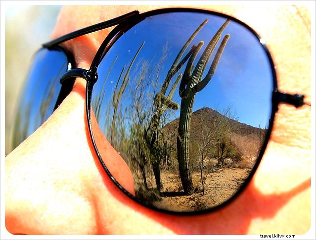 Essai photo : les saguaros du sud de l Arizona