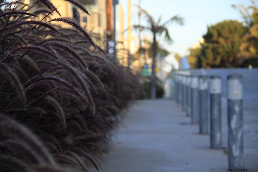 Activités insolites à Los Angeles