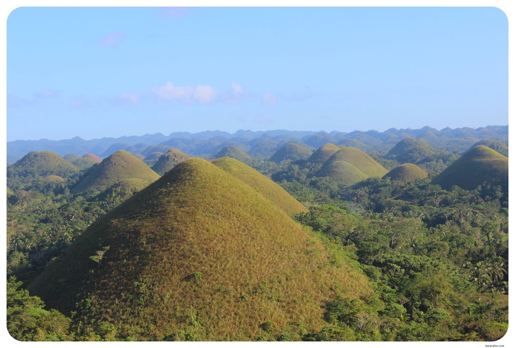 Tarsiers et collines de chocolat à Bohol, Philippines