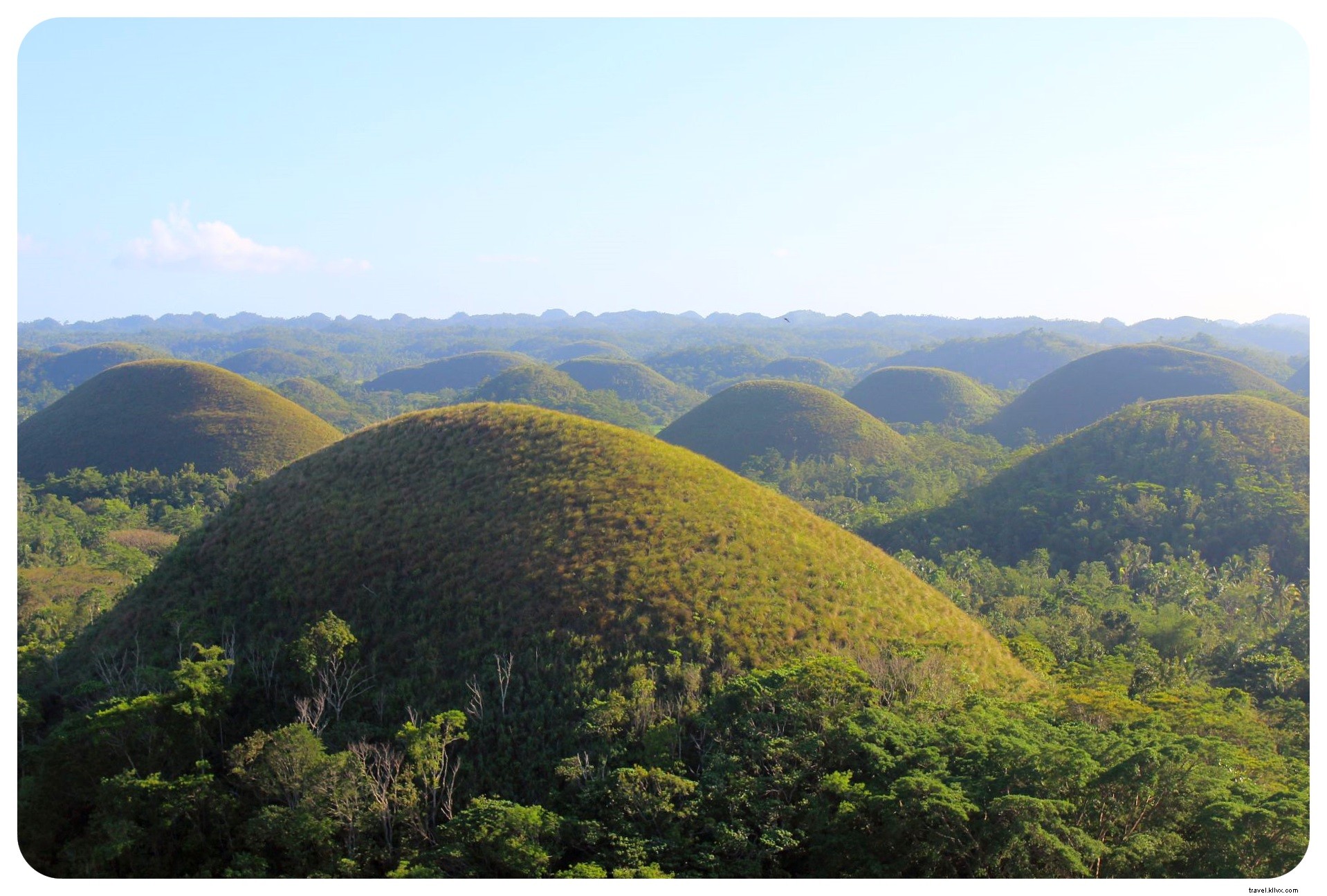 Tarsiers et collines de chocolat à Bohol, Philippines