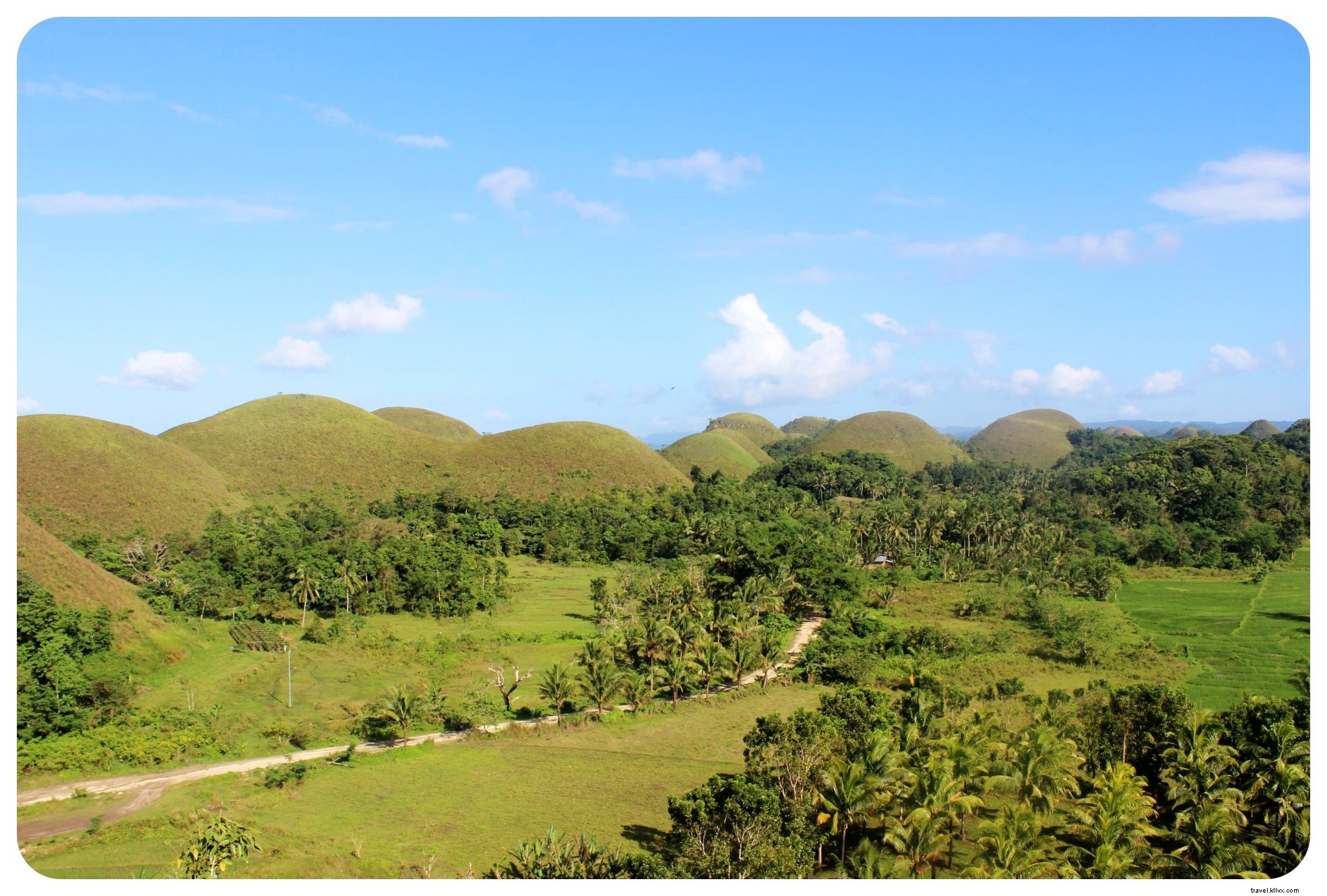 Tarsiers et collines de chocolat à Bohol, Philippines