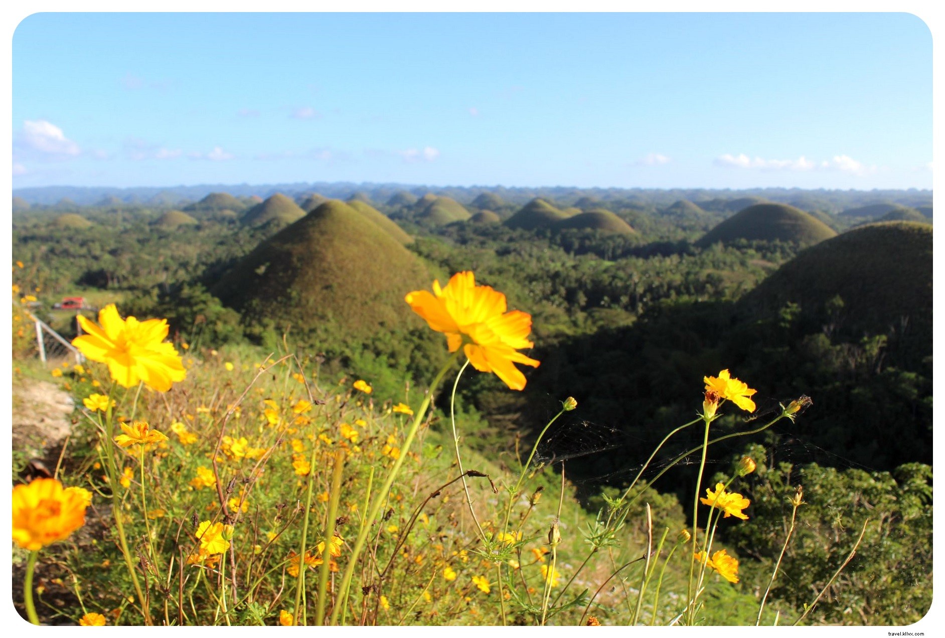Tarsiers et collines de chocolat à Bohol, Philippines