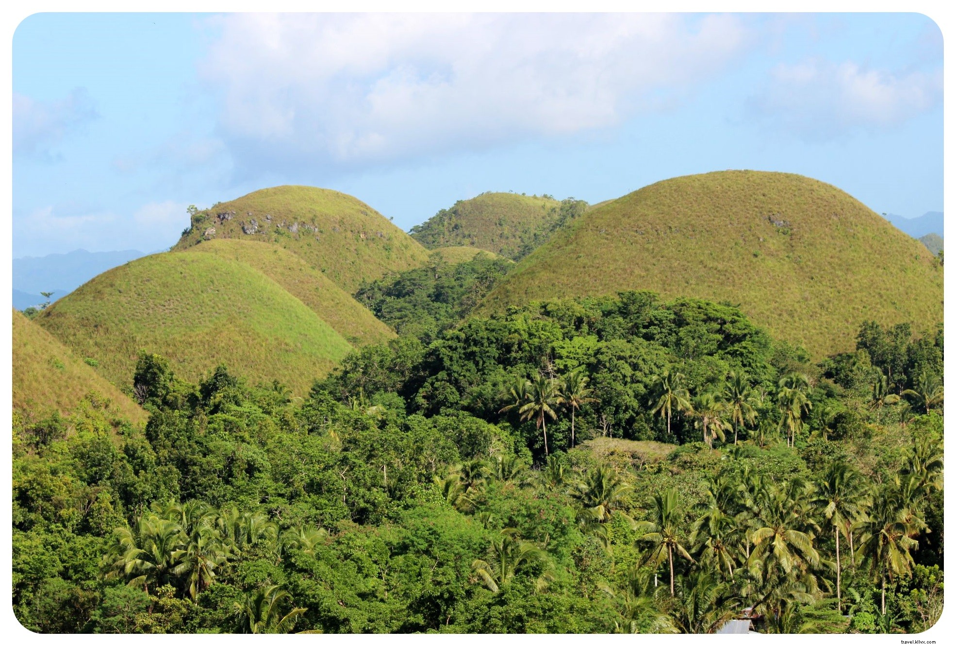 Tarsiers et collines de chocolat à Bohol, Philippines