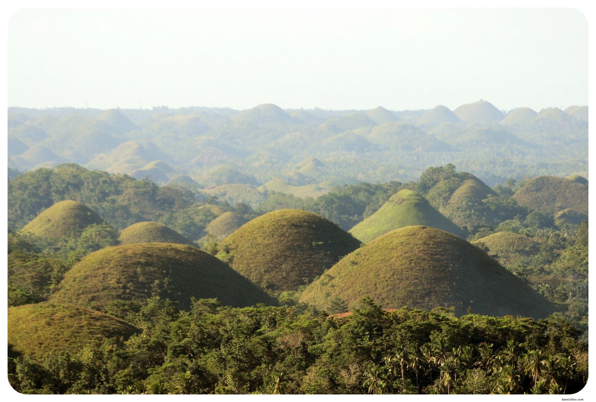 Tarsiers et collines de chocolat à Bohol, Philippines