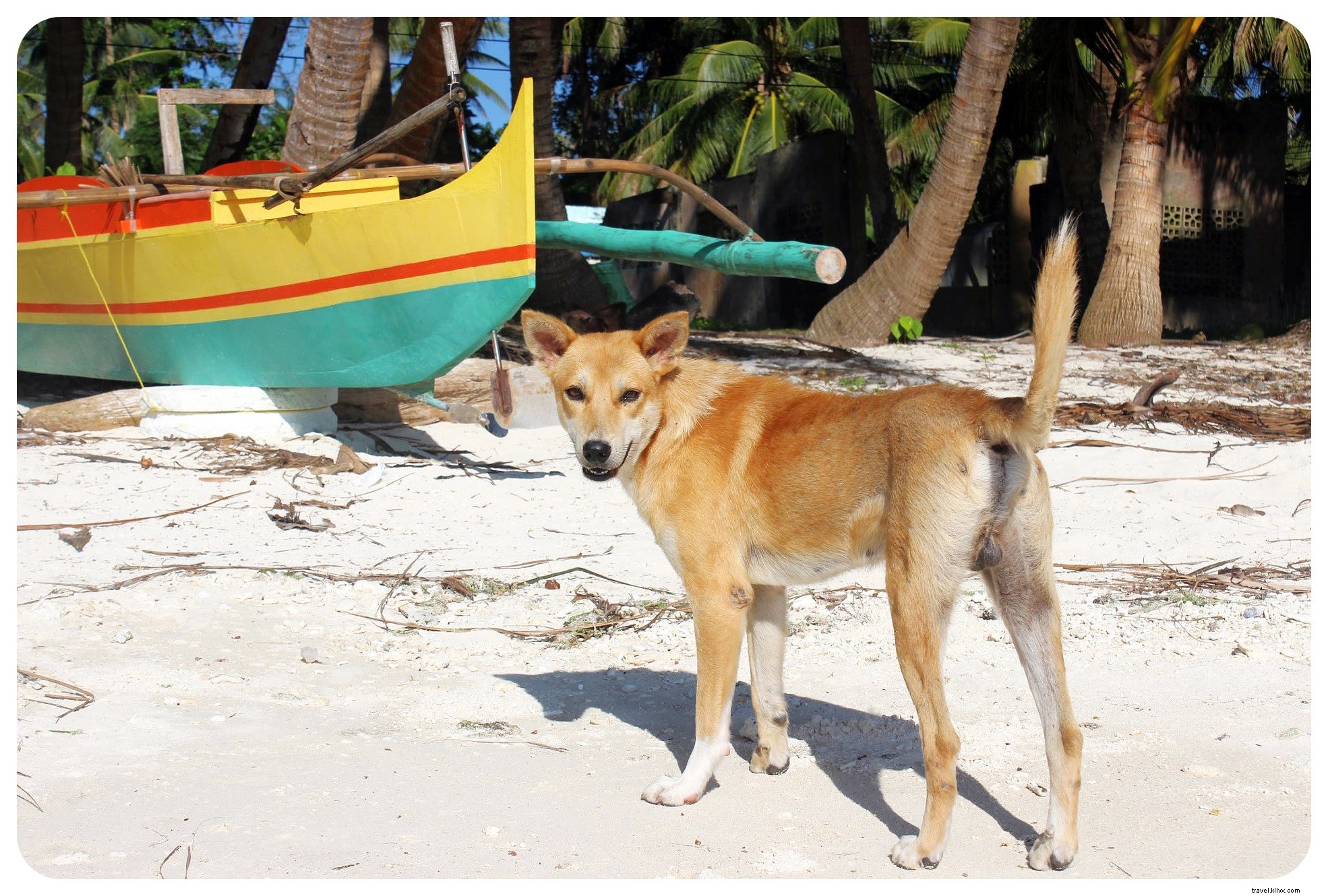 À la recherche de la magie sur l île mystique de Siquijor