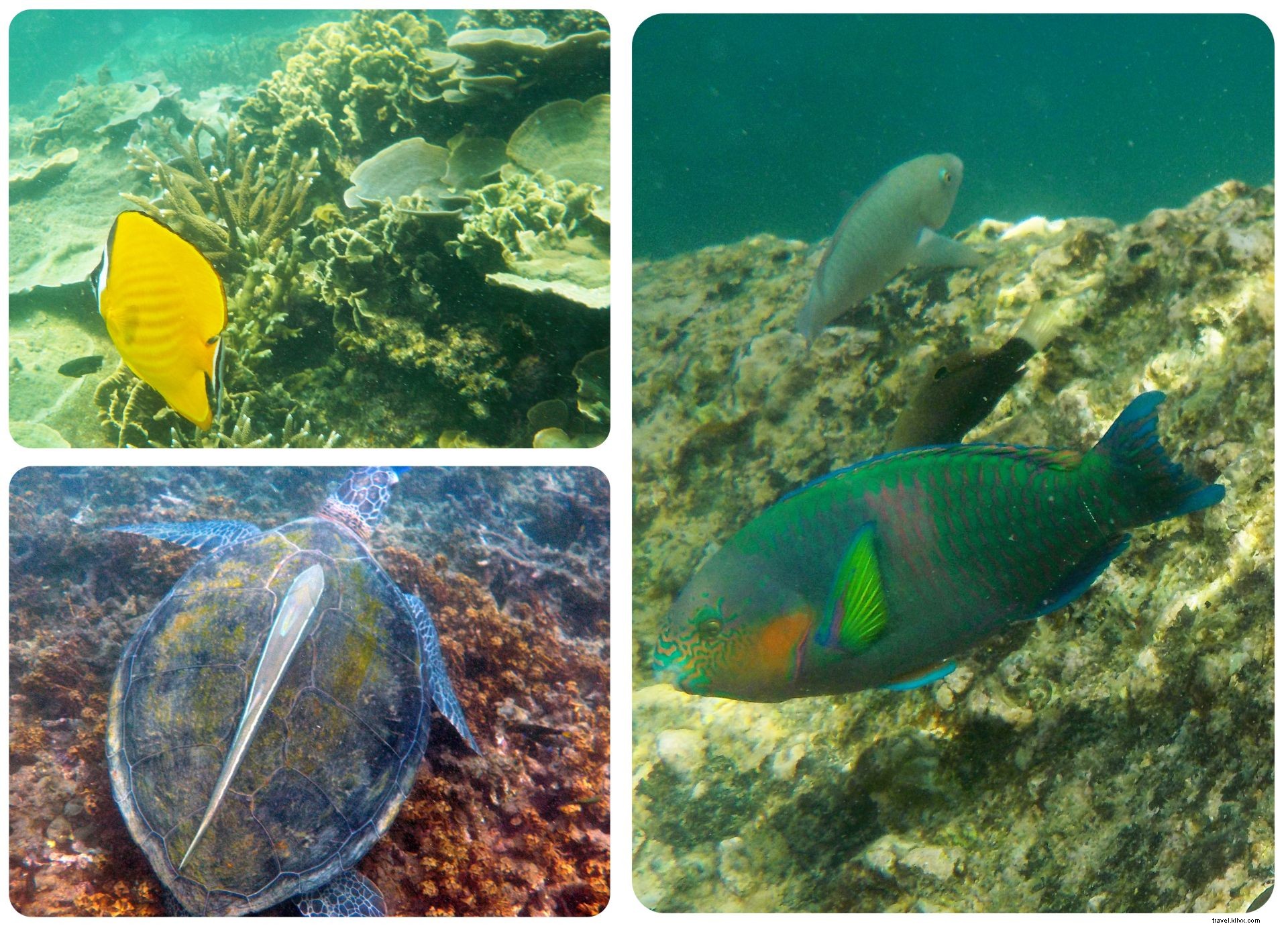 Vivre, c’est comme être sur la plage de Koh Tao