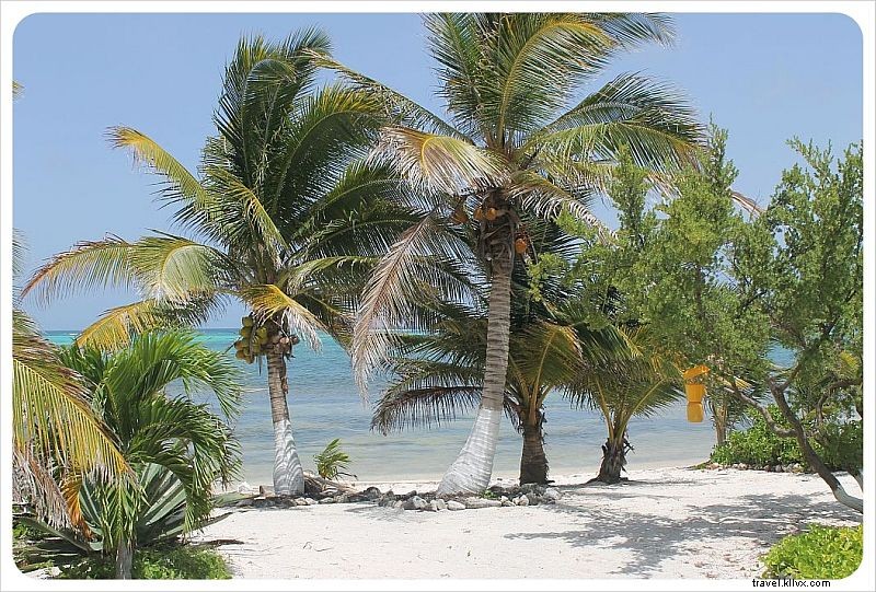 Journal d une maison de plage | Semaine 1