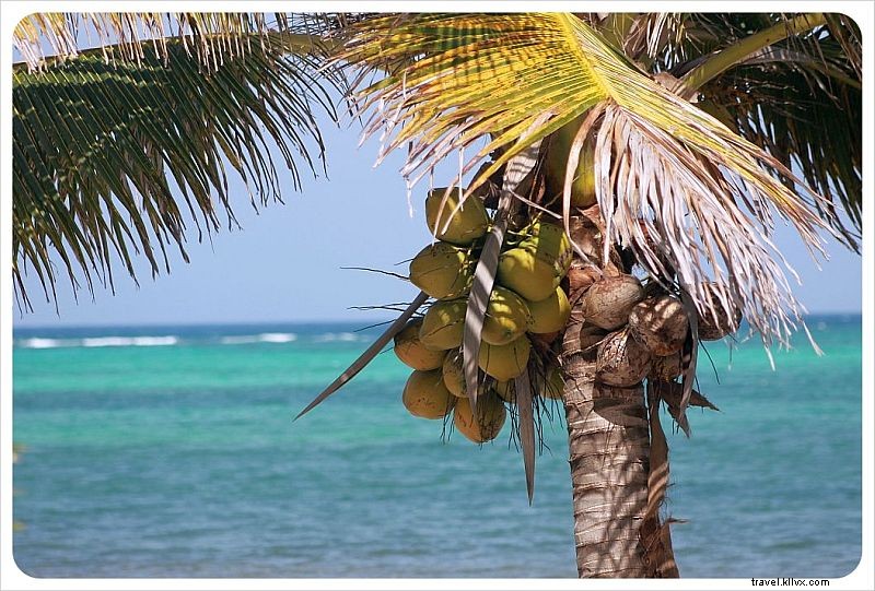 Journal d une maison de plage | Semaine 1