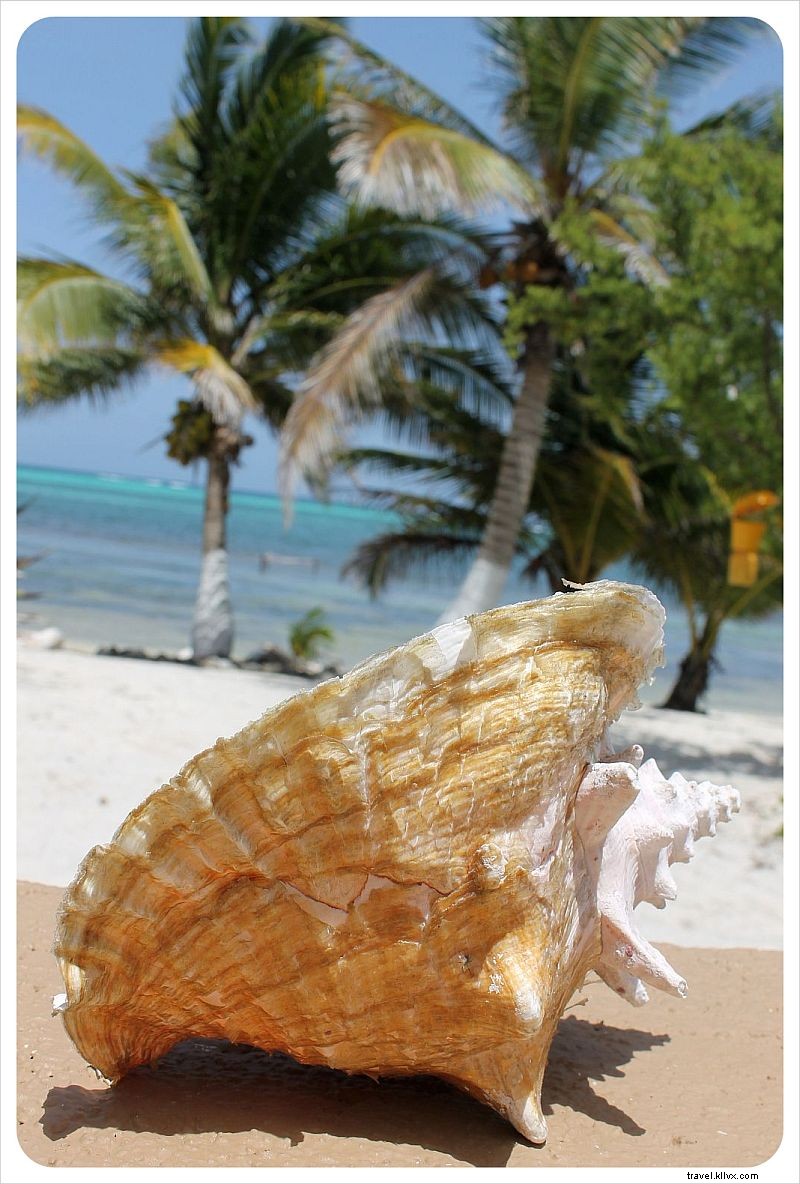 Journal d une maison de plage | Semaine 1
