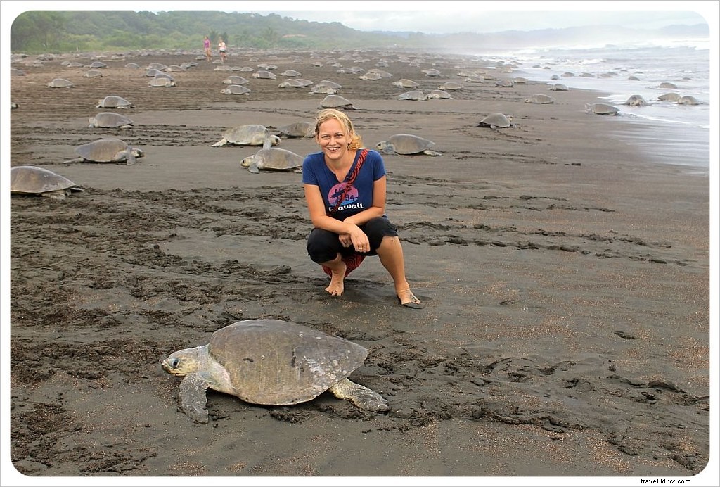 L arribada des tortues à Ostional, Costa Rica : un spectacle inoubliable