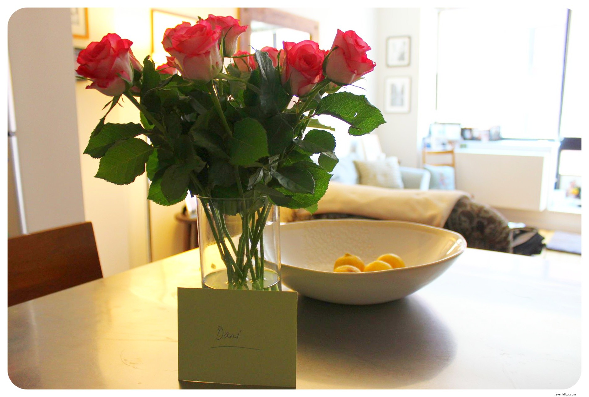 Aventures de housesitting à New York