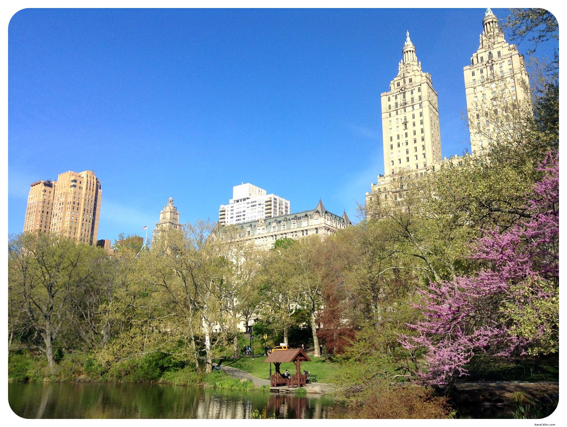 Aventures de housesitting à New York