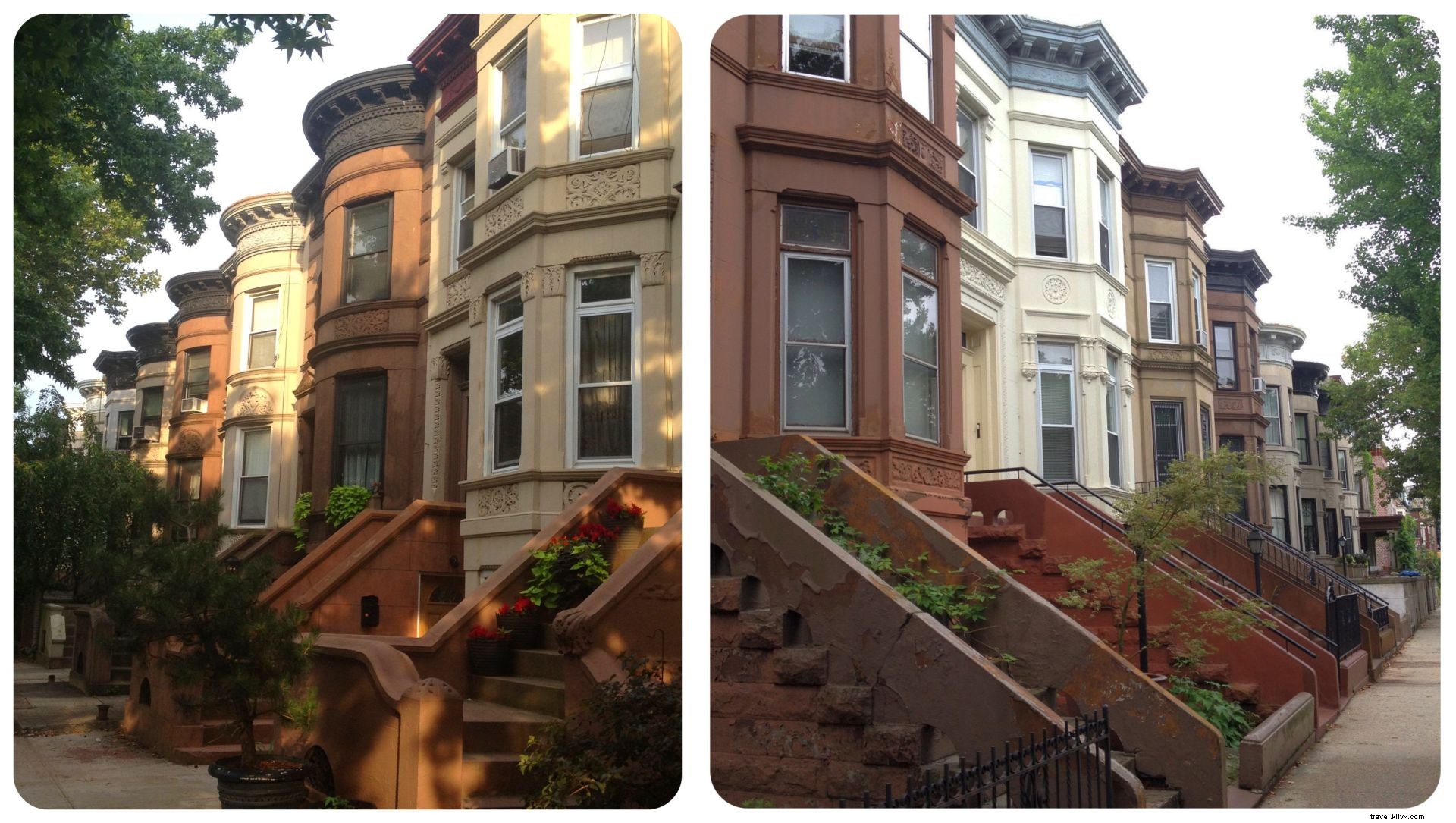 Aventures de housesitting à New York