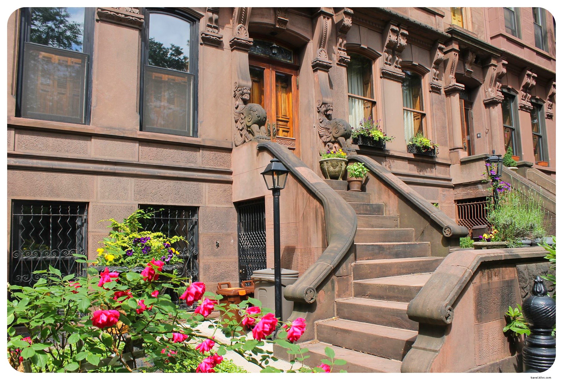Aventures de housesitting à New York
