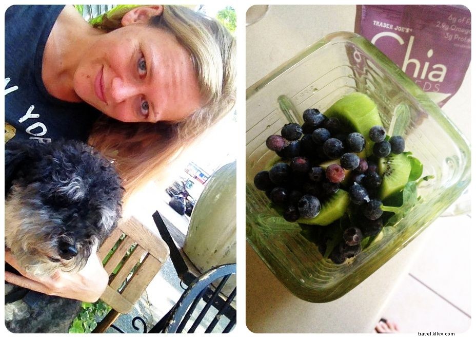 Aventures de housesitting à New York