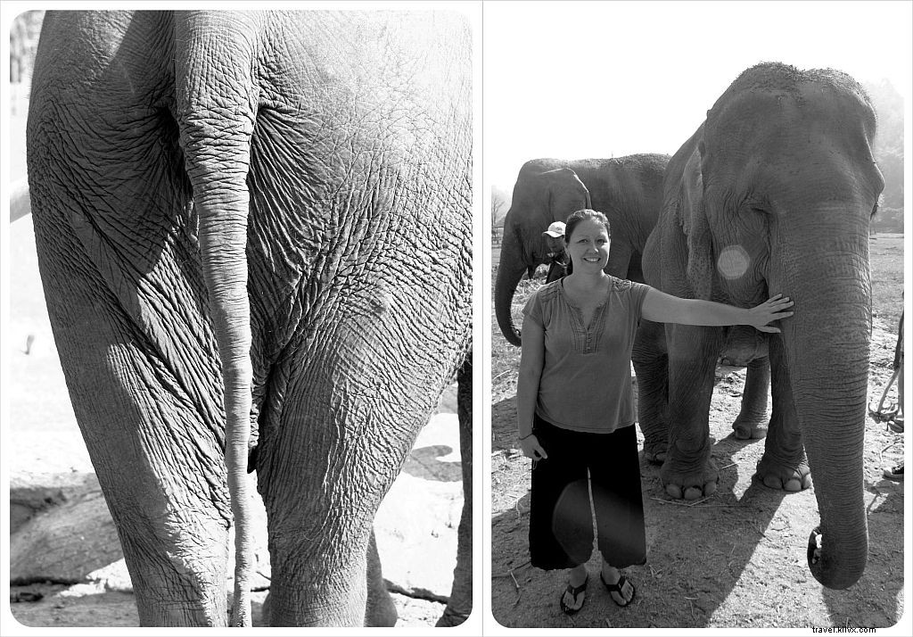 Aidez à guérir l âme d un éléphant au Elephant Nature Park de Chiang Mai