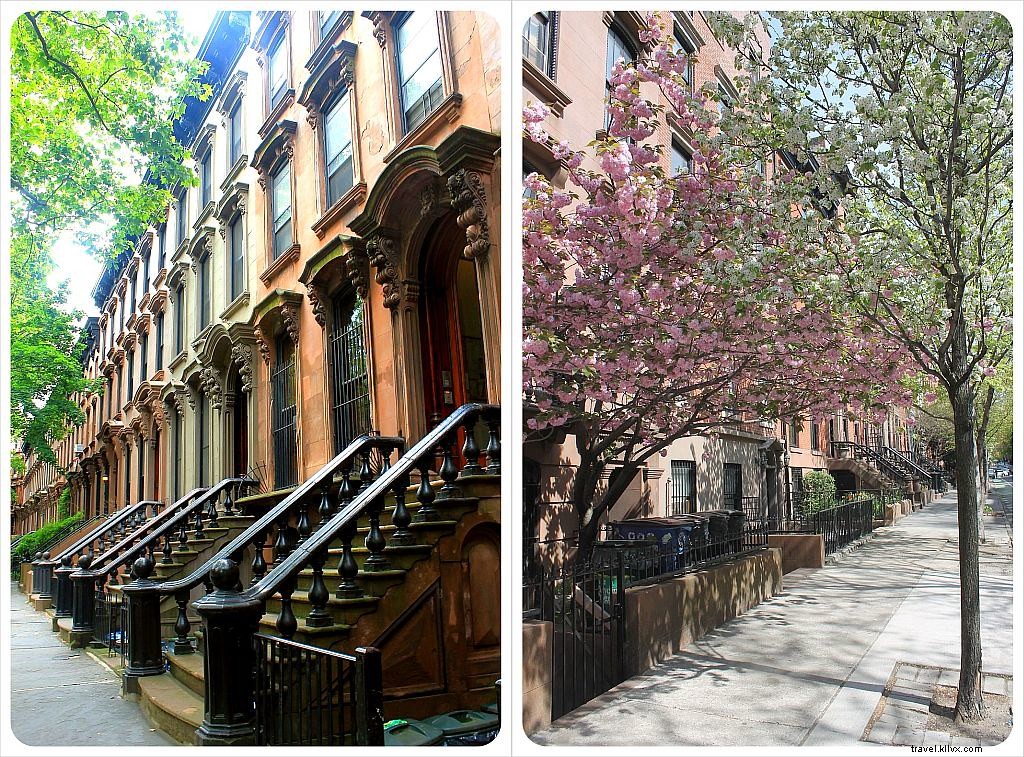 Housesitting à New York : un rêve devenu réalité