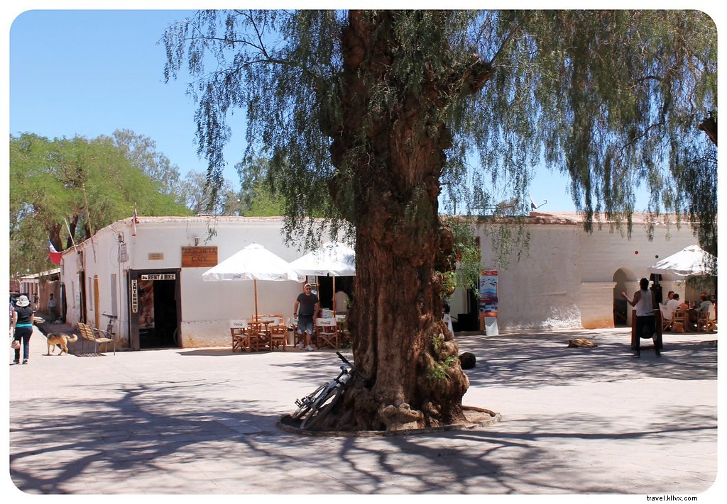 S immerger dans l âme du désert à San Pedro de Atacama