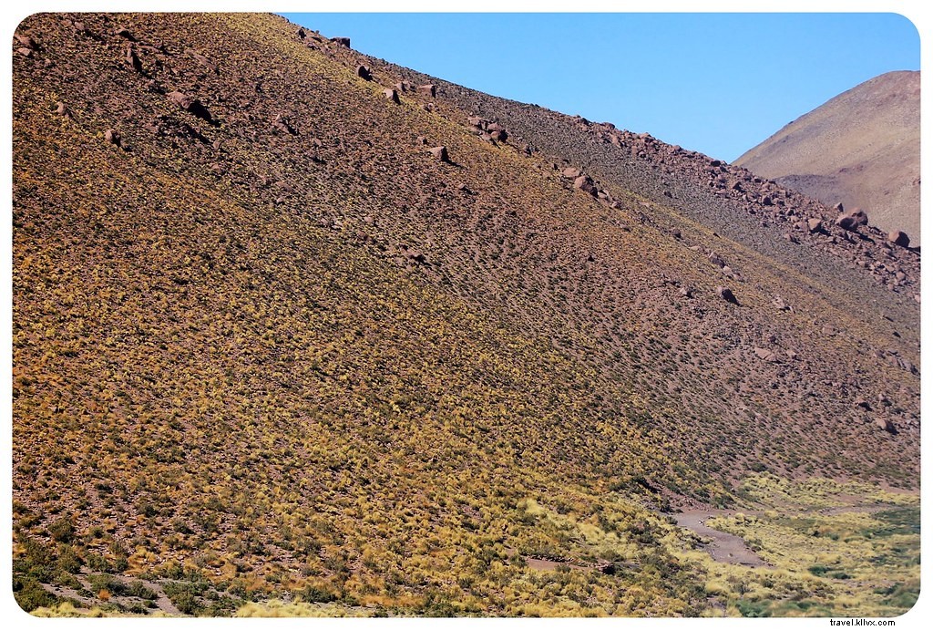 Des paysages d’un autre monde : le désert d’Atacama, Chili
