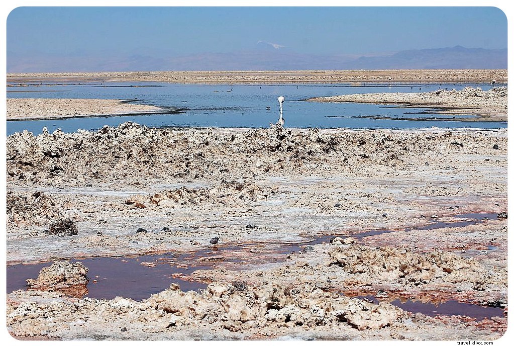 Des paysages d’un autre monde : le désert d’Atacama, Chili