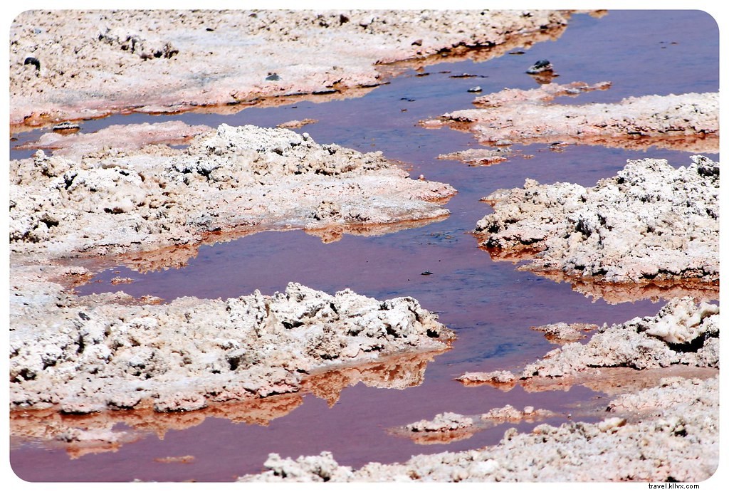 Des paysages d’un autre monde : le désert d’Atacama, Chili