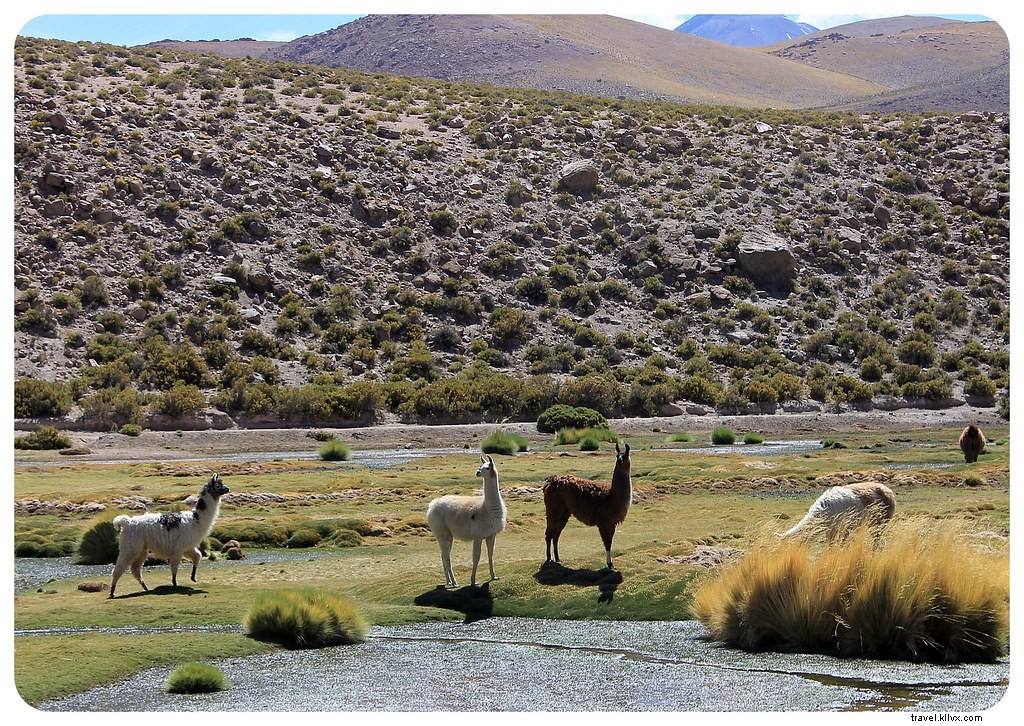 Des paysages d’un autre monde : le désert d’Atacama, Chili