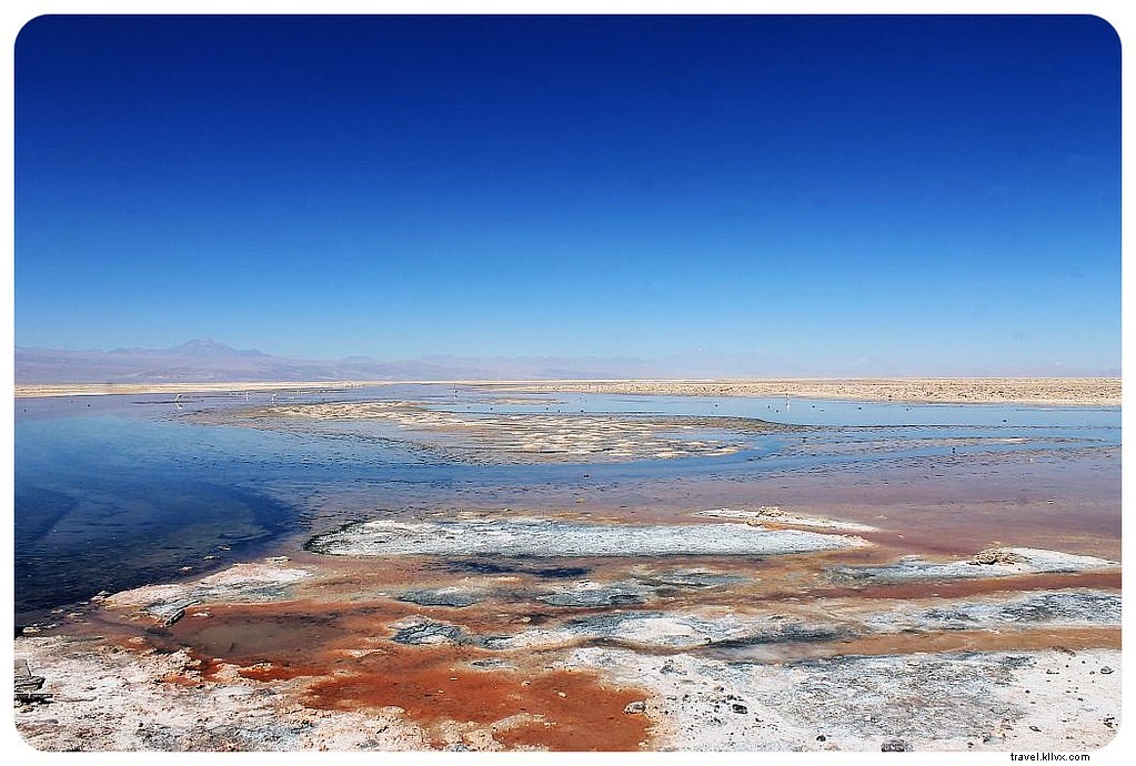 Des paysages d’un autre monde : le désert d’Atacama, Chili