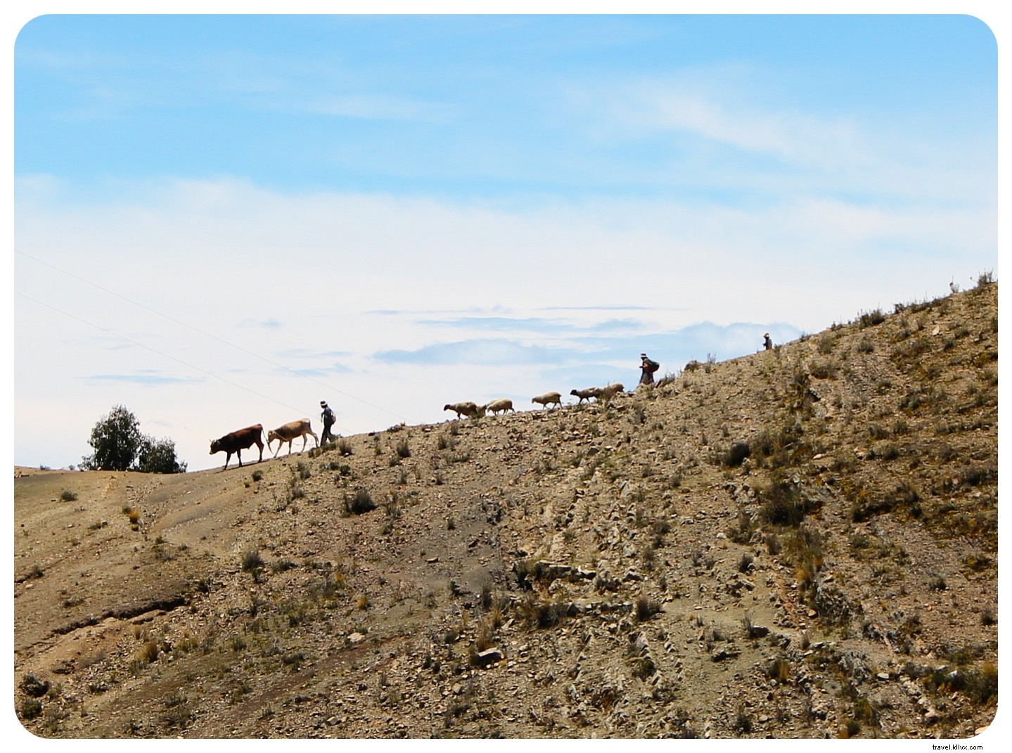 Au bord du lac Titicaca : exploration de la Bolivie rurale lors d une randonnée de 20 km