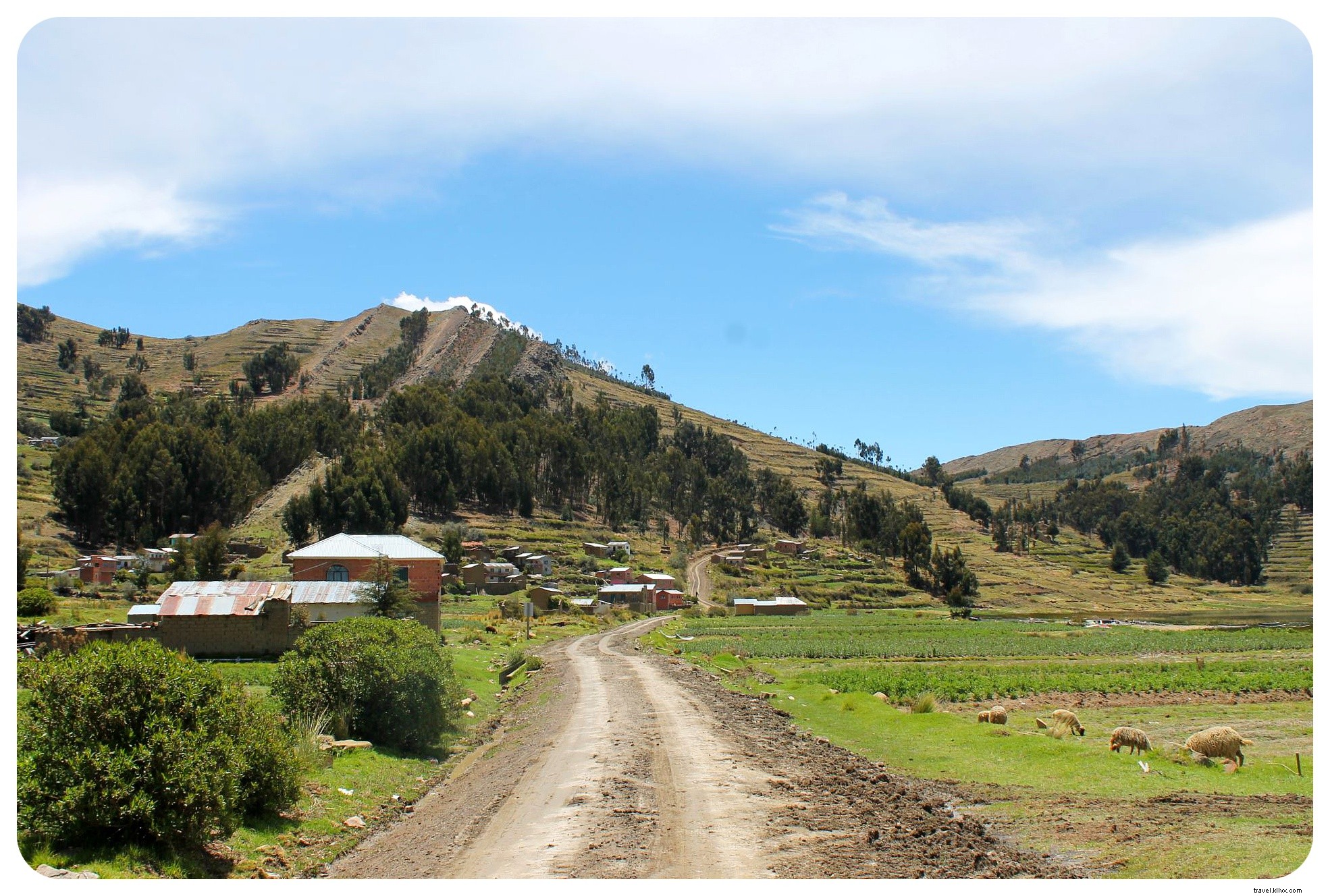 Au bord du lac Titicaca : exploration de la Bolivie rurale lors d une randonnée de 20 km