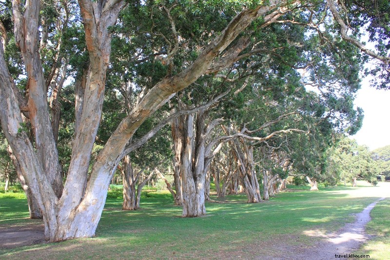 Top 10 des activités gratuites à faire à Sydney