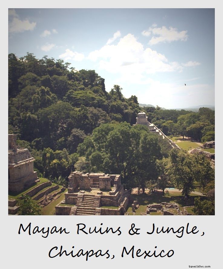 Polaroid de la semaine : les ruines mayas dans la jungle du Chiapas, Mexique
