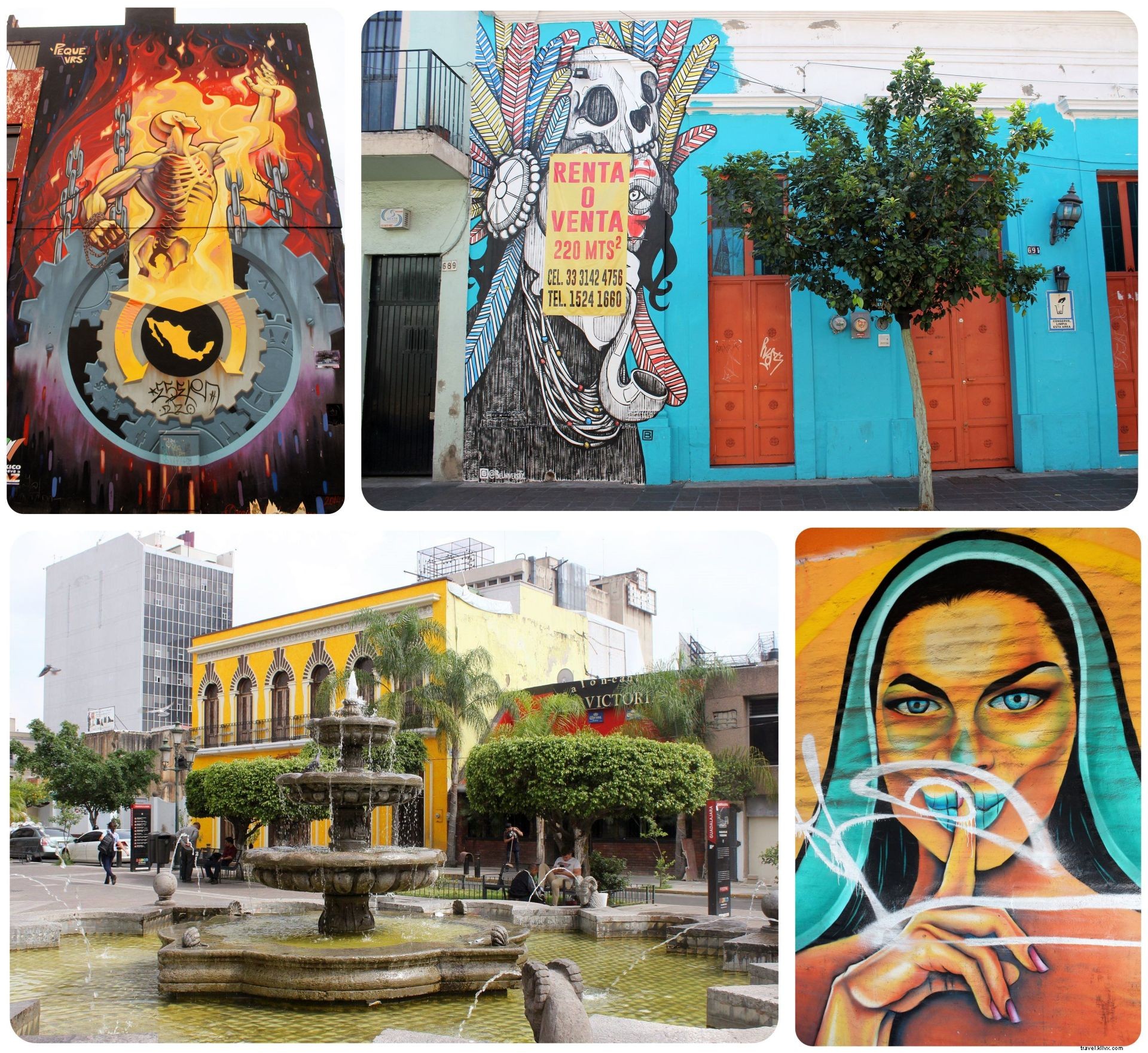 Tequila, Art et mariachis : vivre le vrai Mexique à Guadalajara