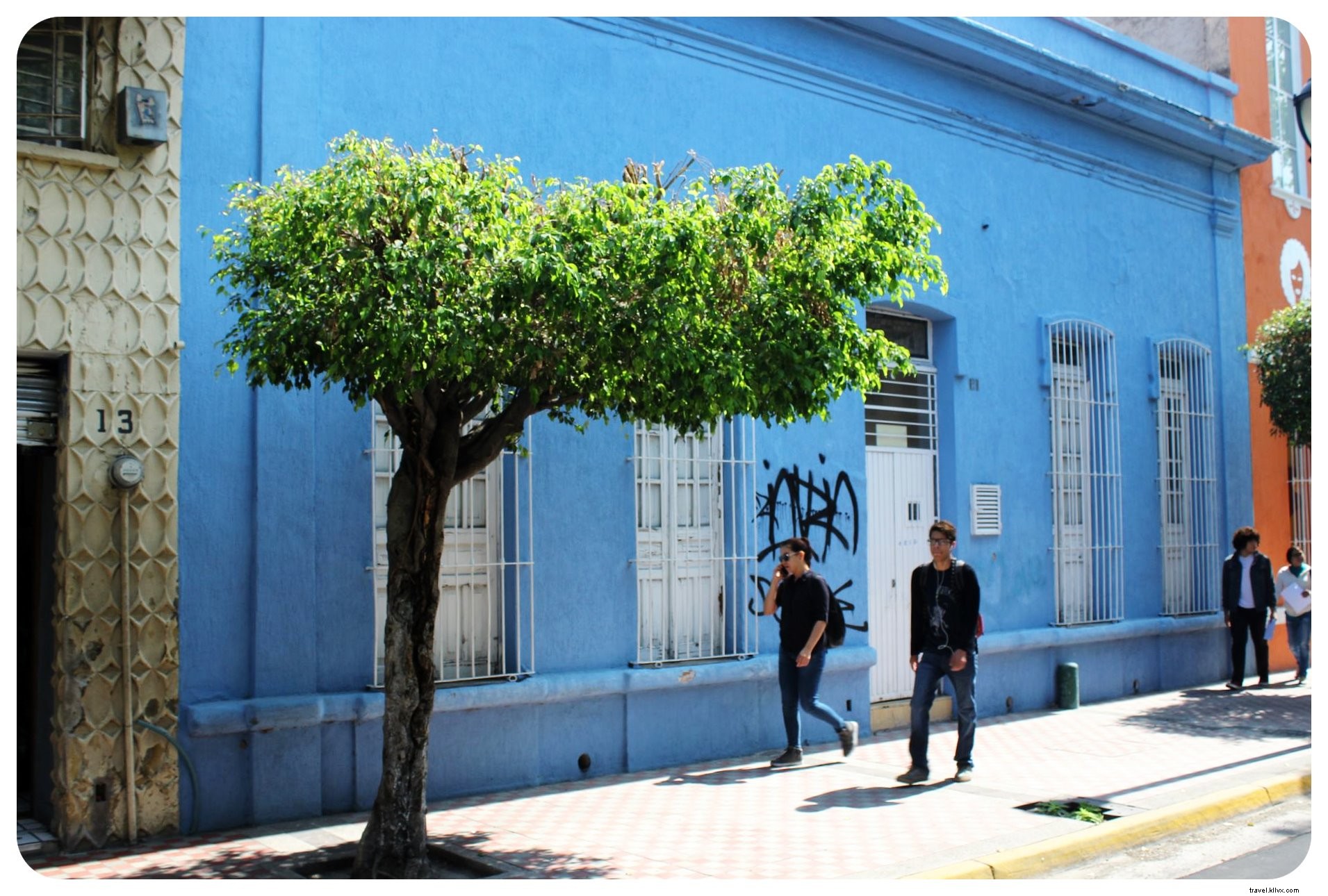 Tequila, Art et mariachis : vivre le vrai Mexique à Guadalajara