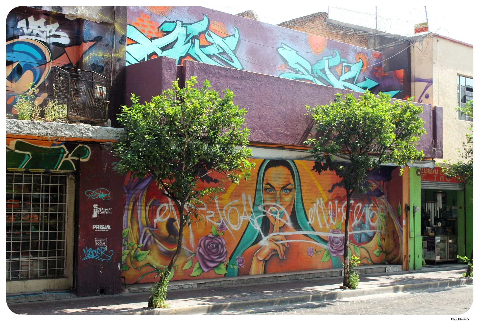 Tequila, Art et mariachis : vivre le vrai Mexique à Guadalajara