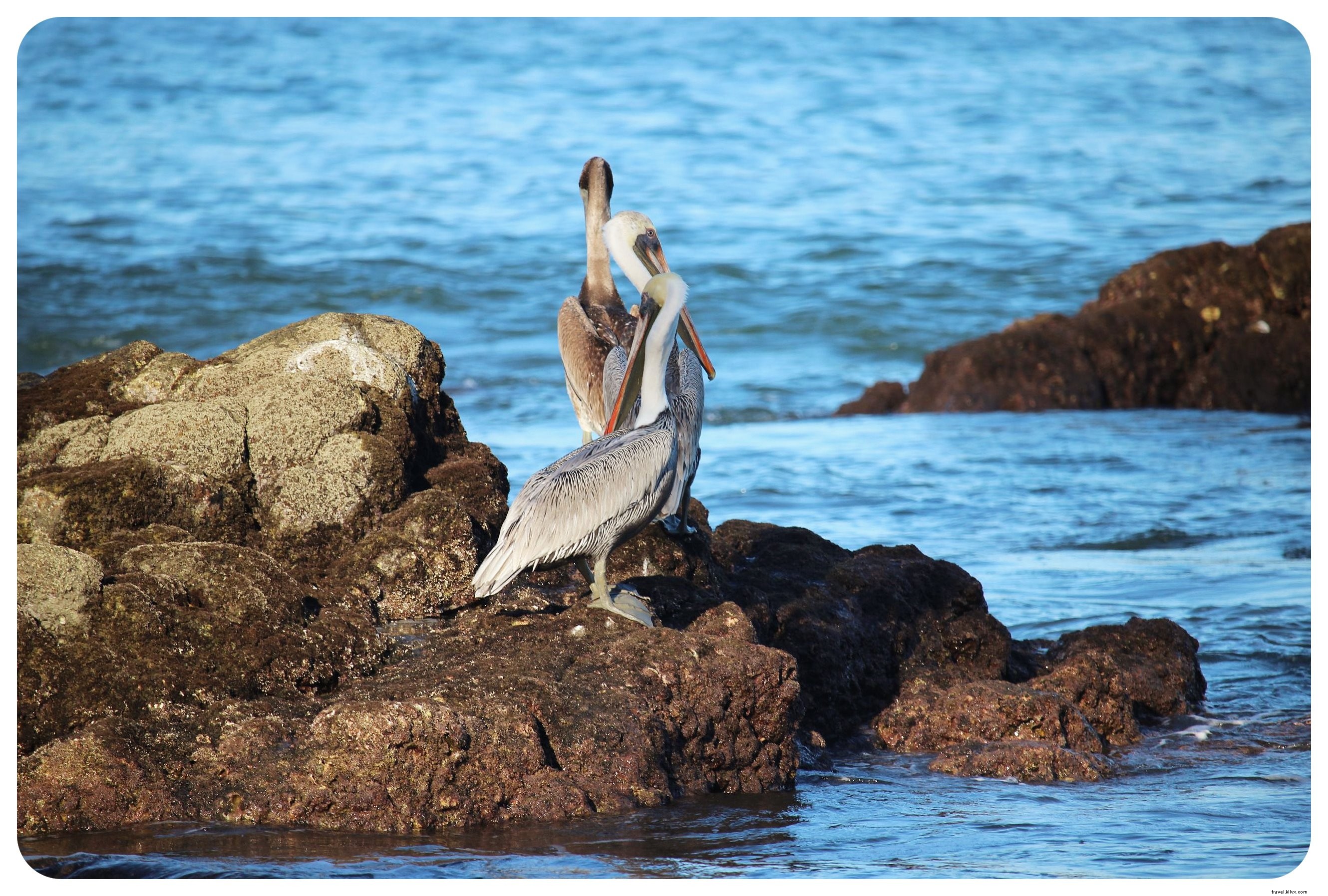Découverte des plages de la Riviera Nayarit, Mexique