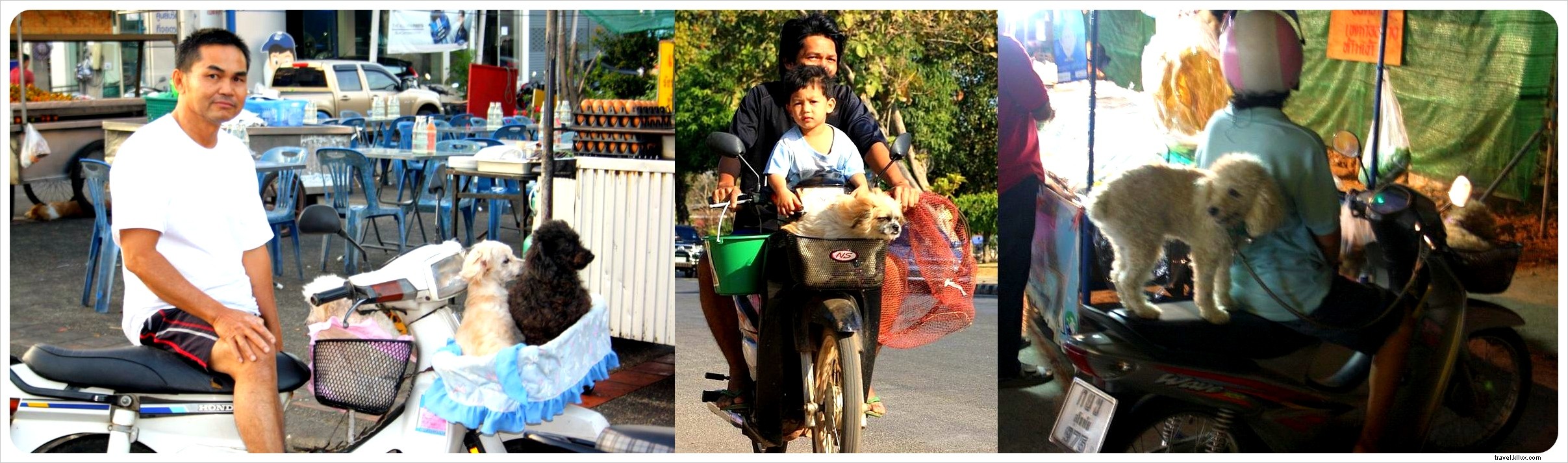 Premières impressions de la Thaïlande : un avant-goût inoubliable
