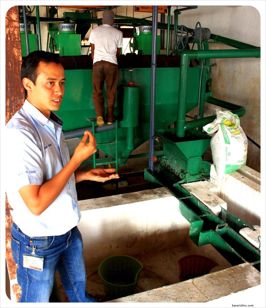 De la ferme à votre tasse : visite de la finca Filadelfia près d Antigua