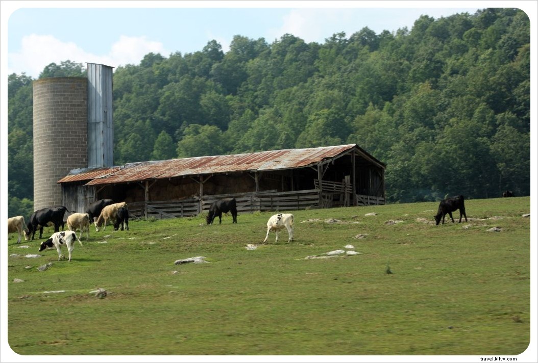 Grand road‑trip américain 2011 – De Washington D.C. aux montagnes Blue Ridge