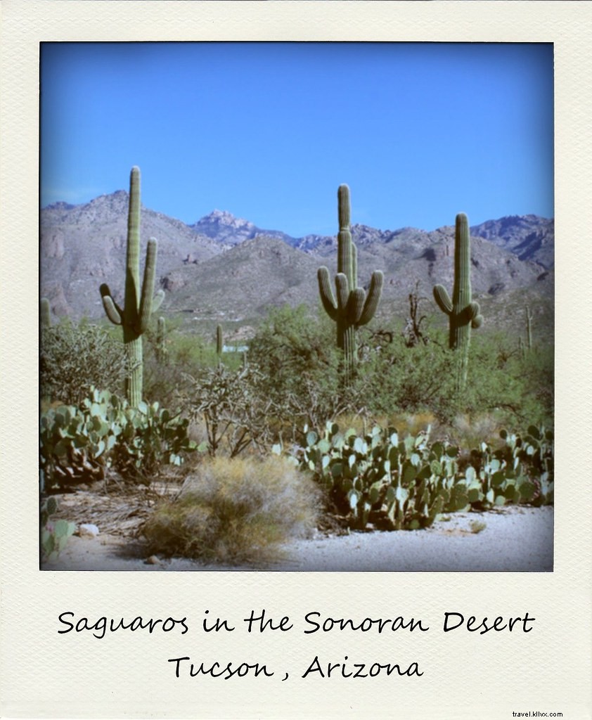 Polaroid de la semaine : Au revoir, Arizona !