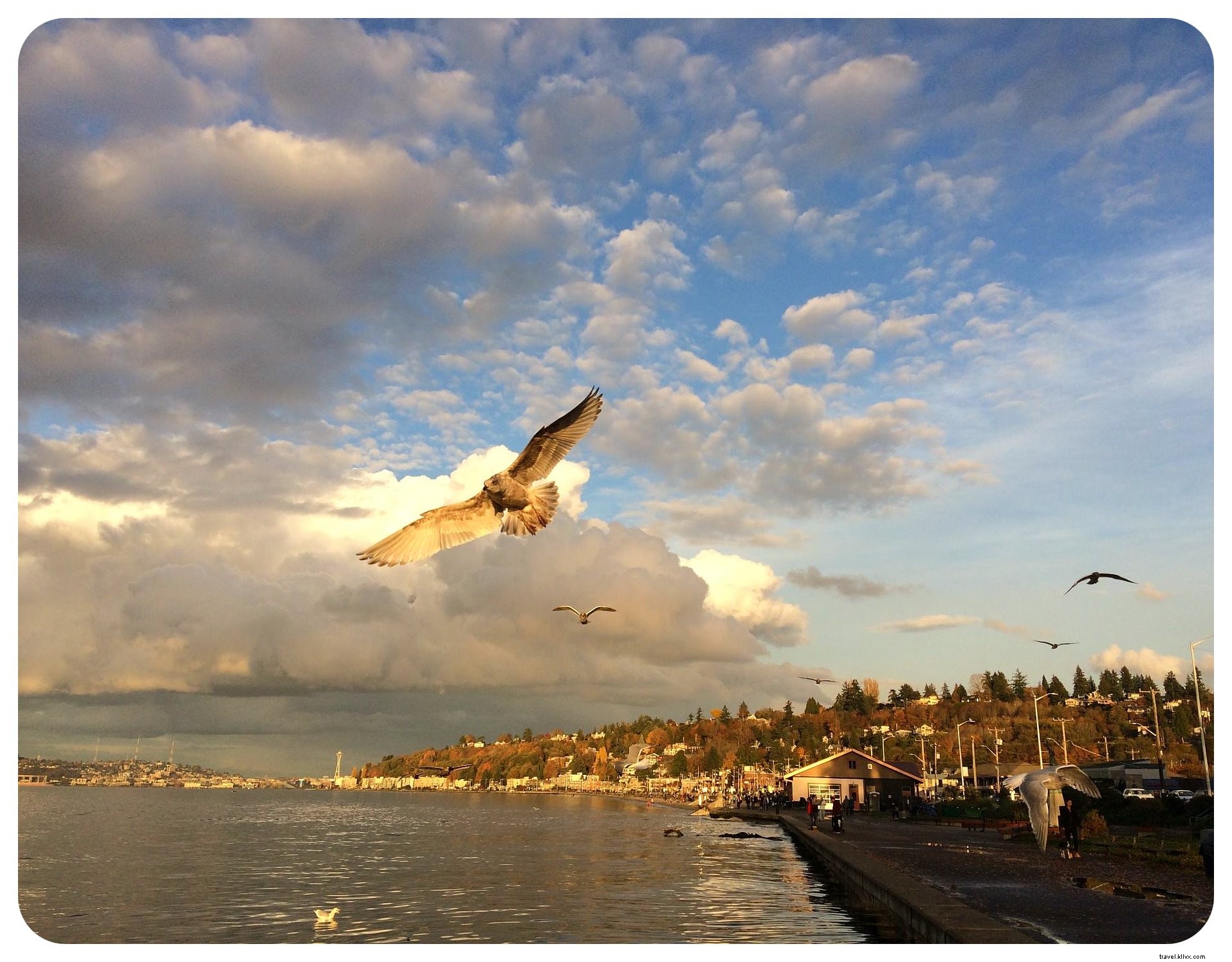 35 lieux incontournables que j’adore à Seattle