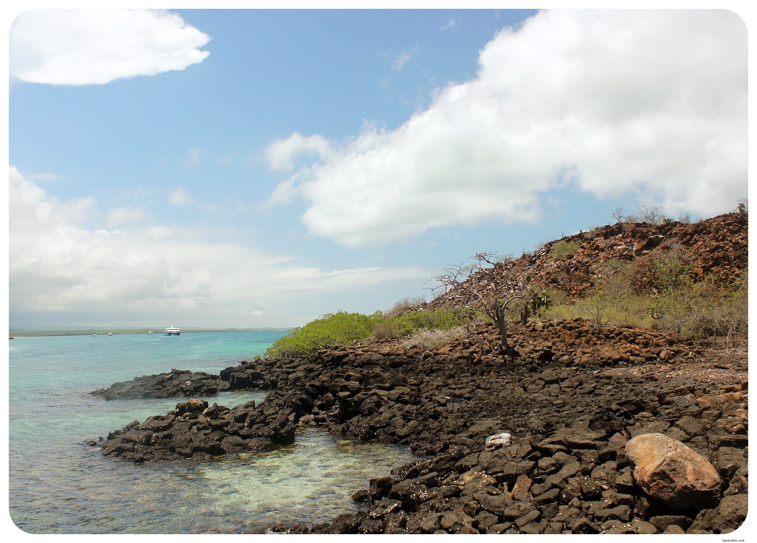 Ma croisière aux îles Galápagos : un rêve devenu réalité